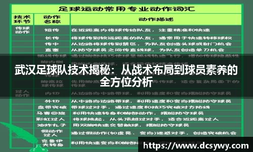 武汉足球队技术揭秘：从战术布局到球员素养的全方位分析