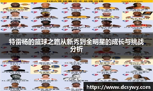 特雷杨的篮球之路从新秀到全明星的成长与挑战分析