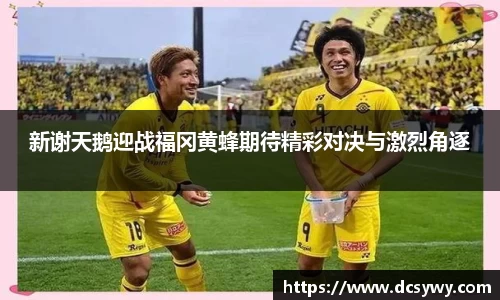 米乐YY易游新谢天鹅迎战福冈黄蜂期待精彩对决与激烈角逐